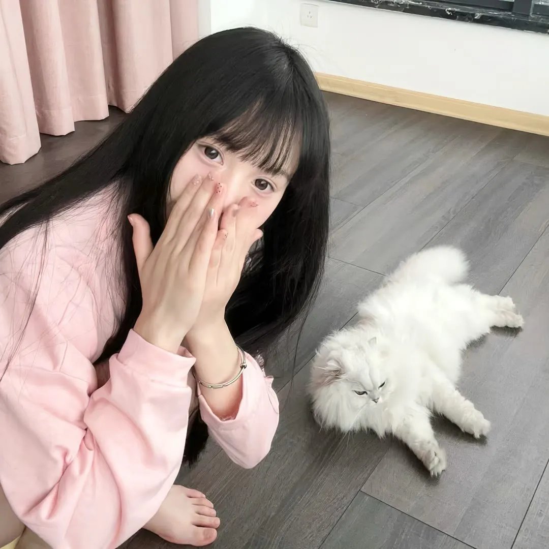 追凶直播